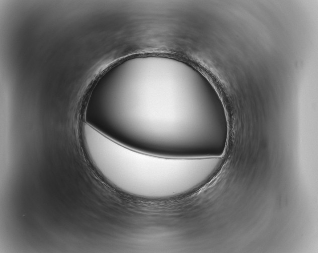 X0000094371455200711020743