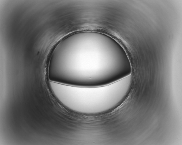 X0000094371459200711020743