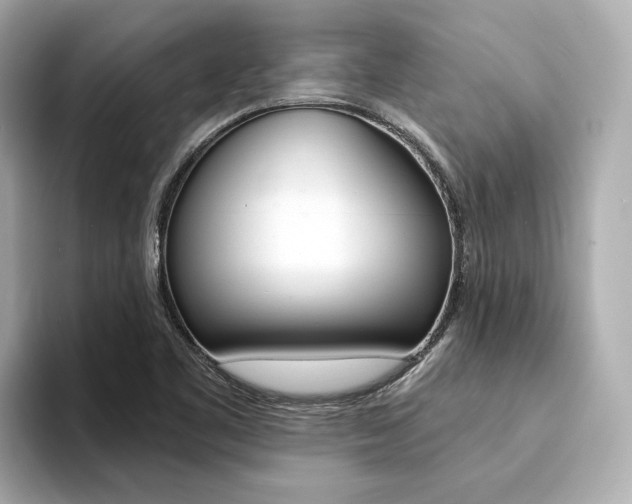 X0000094371461200711020743