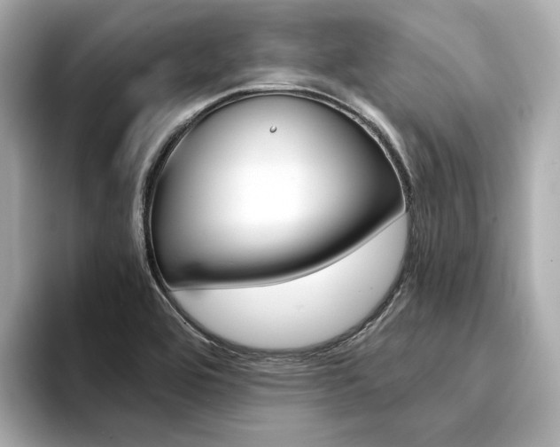 X0000094371464200711020743