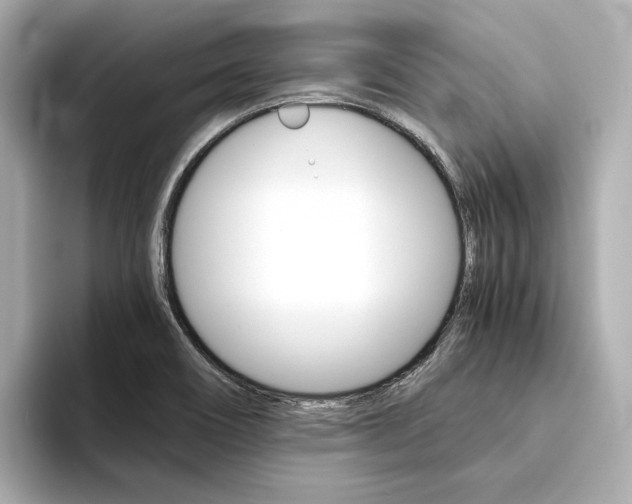 X0000094371466200711020743
