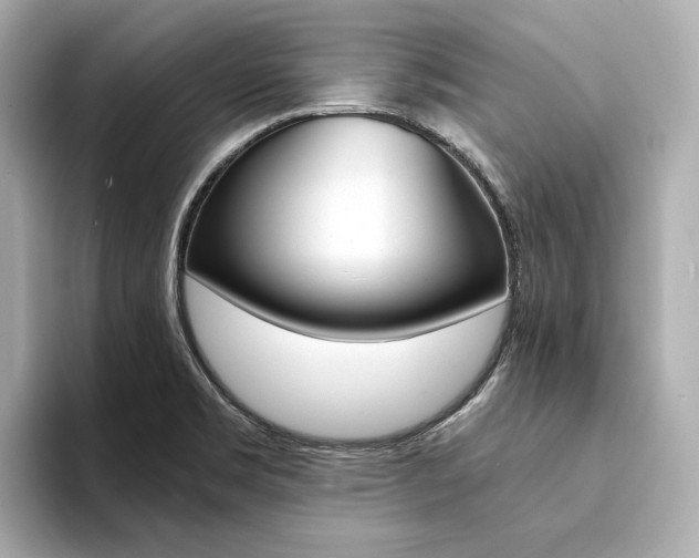 X0000094371469200711020743