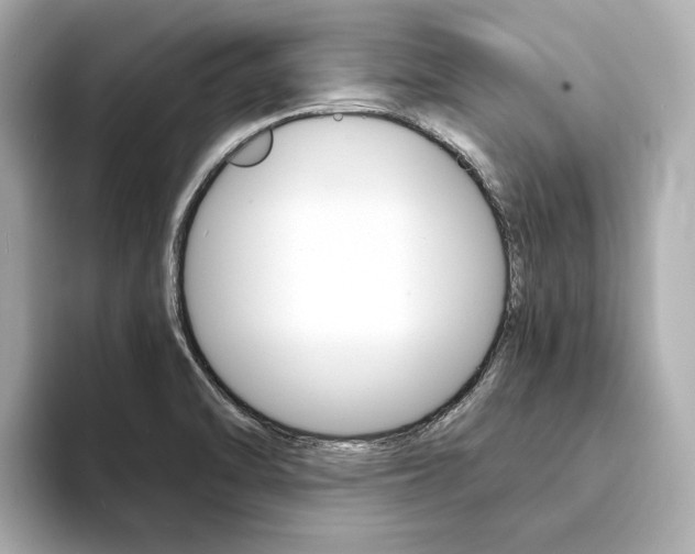 X0000094371470200711020743