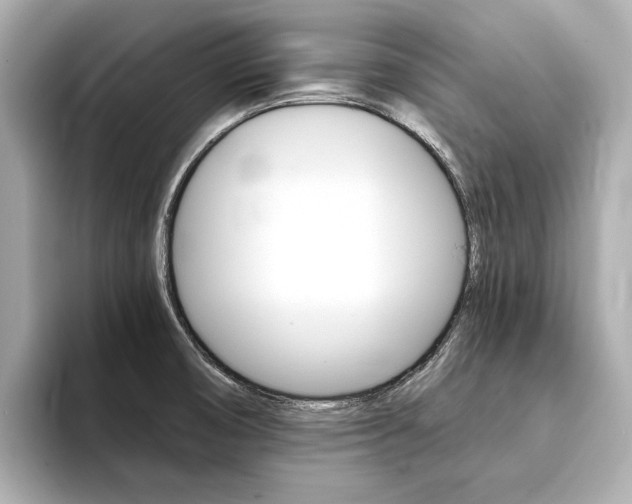 X0000094371474200711020743