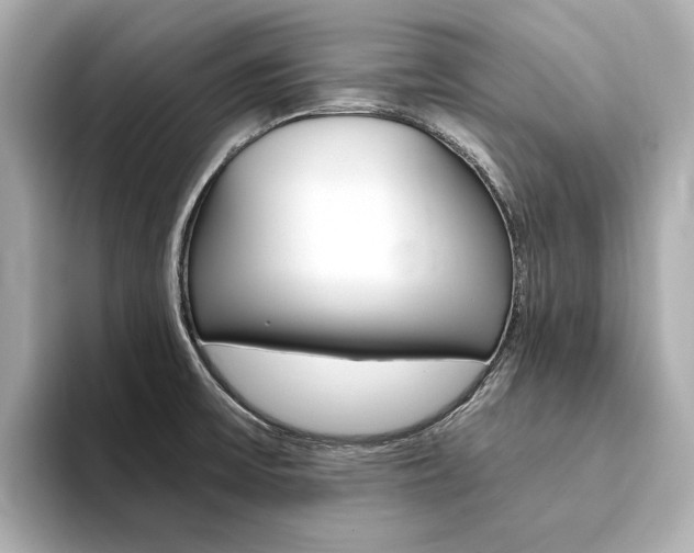 X0000094371475200711020743