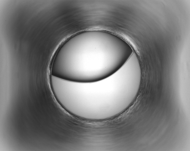 X0000094371476200711020743