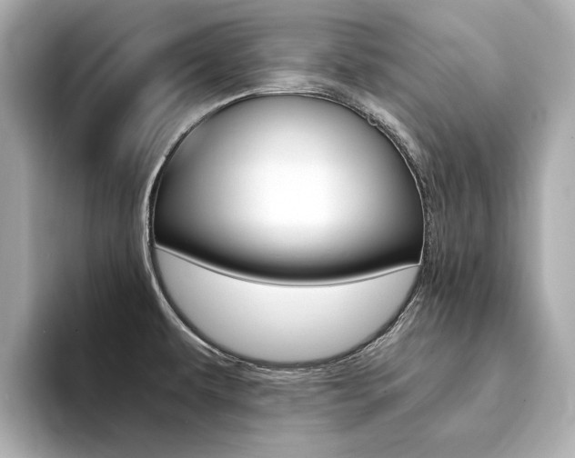 X0000094371479200711020743