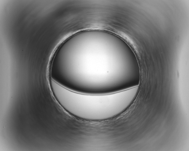 X0000094371480200711020743