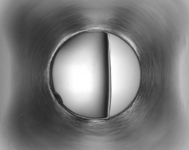 X0000094371483200711020743