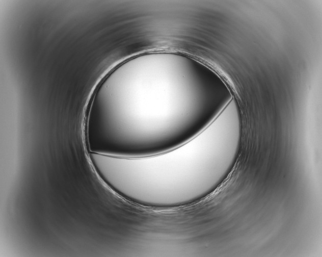 X0000094371484200711020743