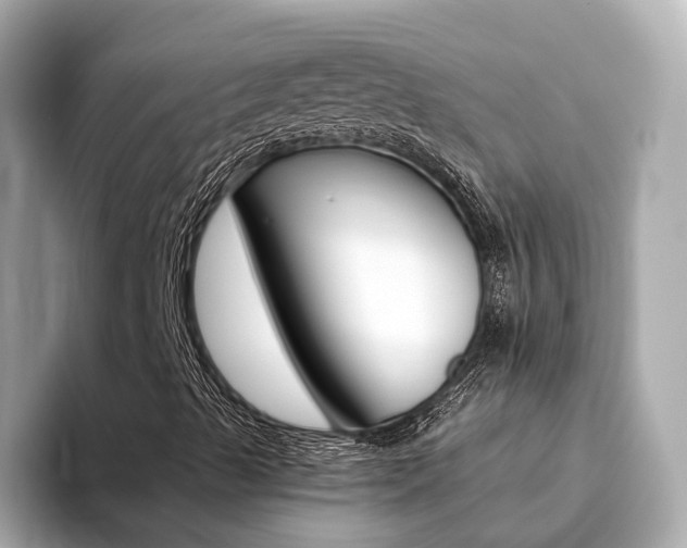 X0000094371489200711020742