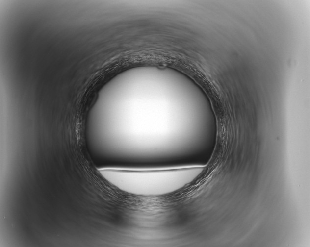 X0000094371490200711020742