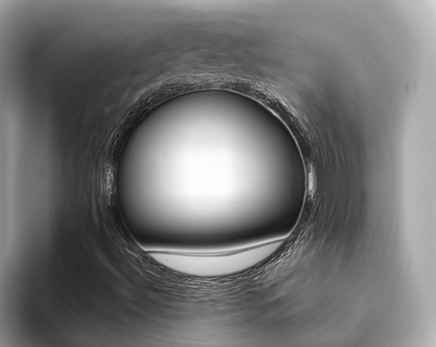 X0000094371492200711020742