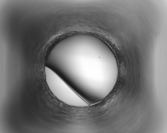 X0000094371494200711020742