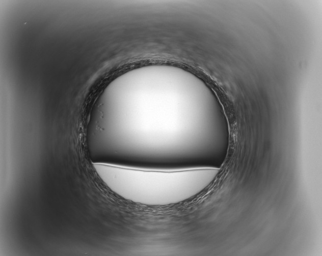 X0000094371495200711020743
