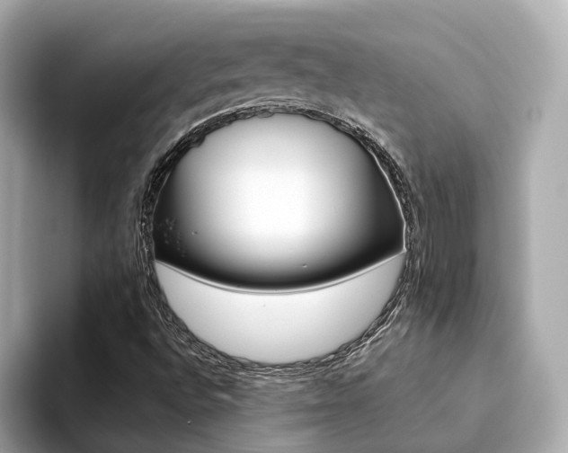 X0000094371496200711020743
