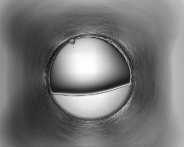 X0000094371497200711020743