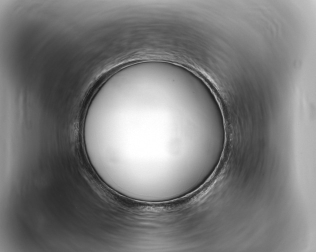 X0000094371499200711020743
