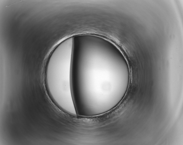 X0000094371500200711020743