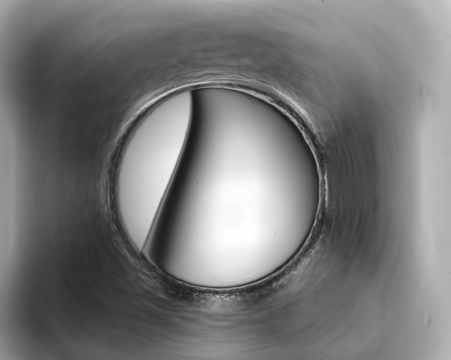 X0000094371501200711020743