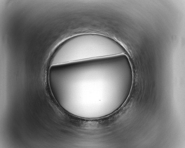 X0000094371503200711020743