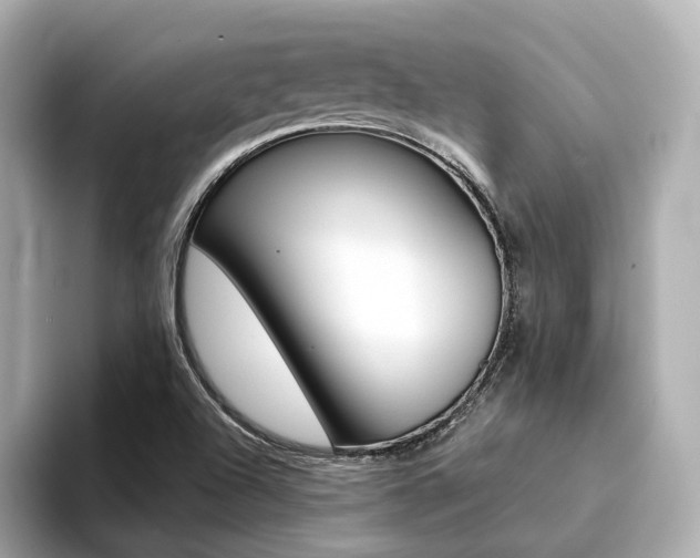 X0000094371504200711020743