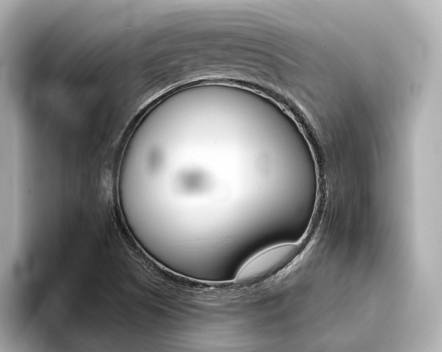 X0000094371505200711020743