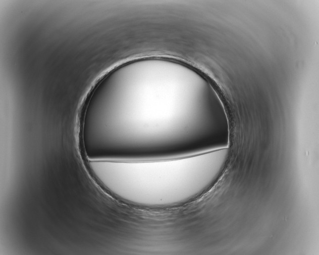 X0000094371508200711020743