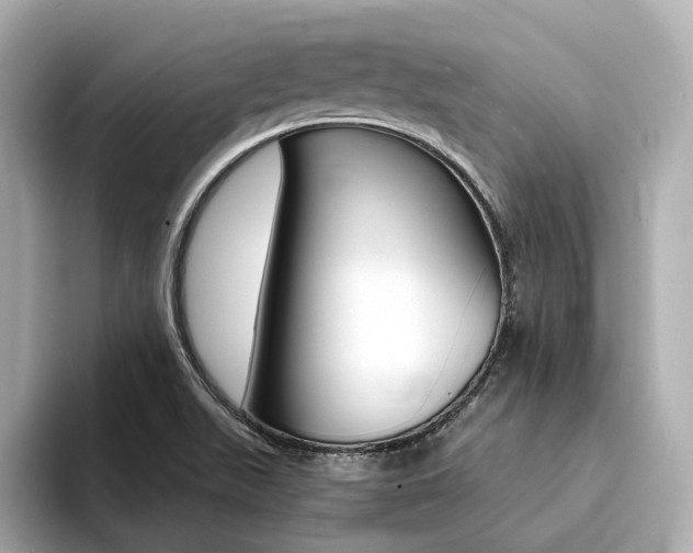 X0000094371511200711020743