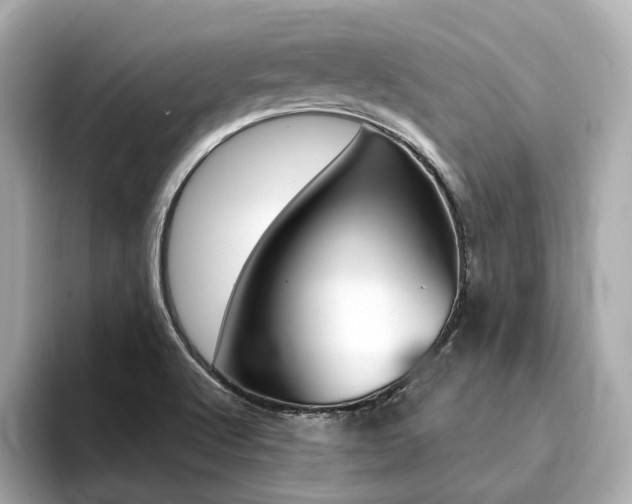 X0000094371512200711020743
