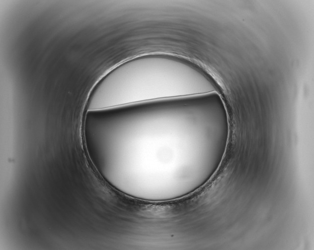X0000094371513200711020743
