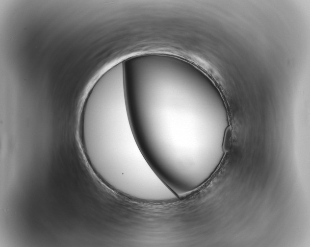 X0000094371520200711020743
