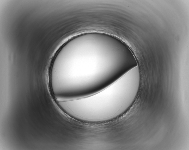 X0000094371523200711020743