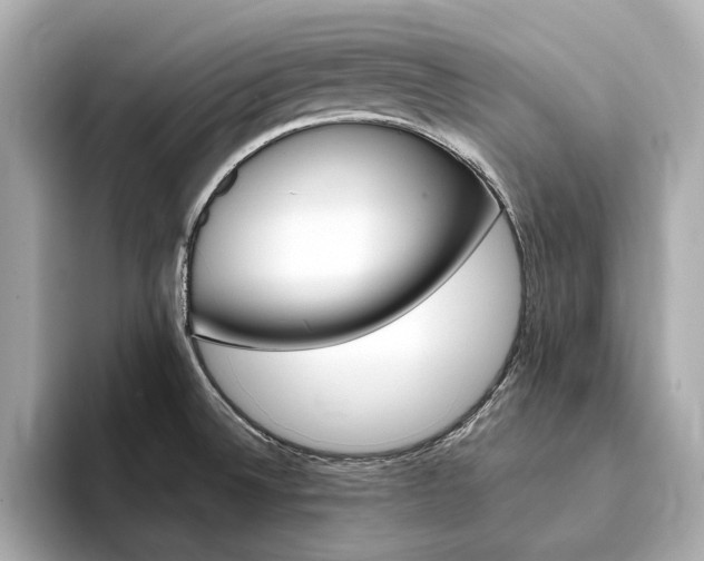X0000094371524200711020743