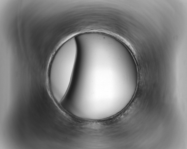 X0000094371525200711020743
