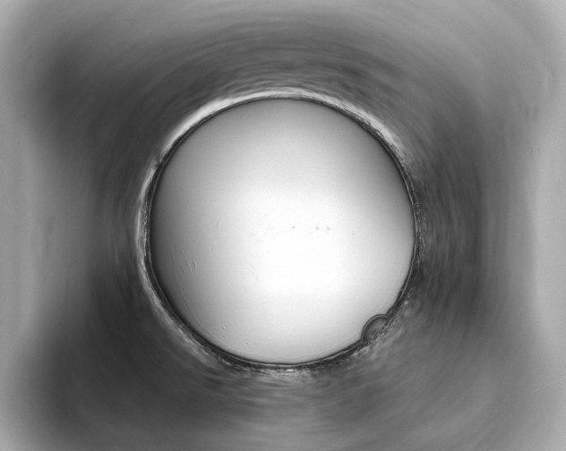 X0000094371526200711020743