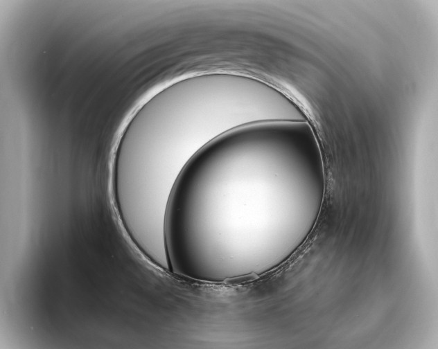 X0000094371528200711020743