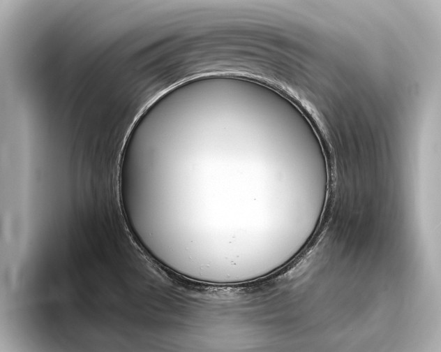 X0000094371529200711020743