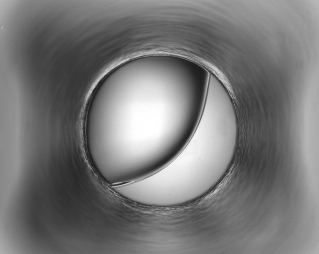 X0000094371530200711020743