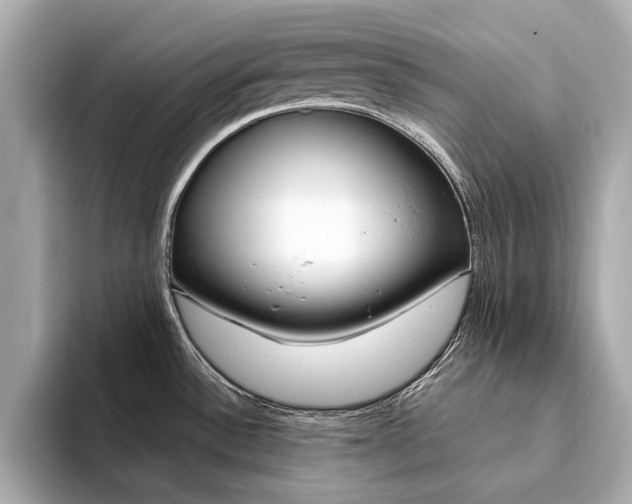 X0000094371532200711020743