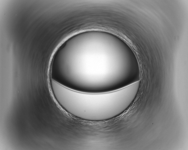 X0000094371536200711020743