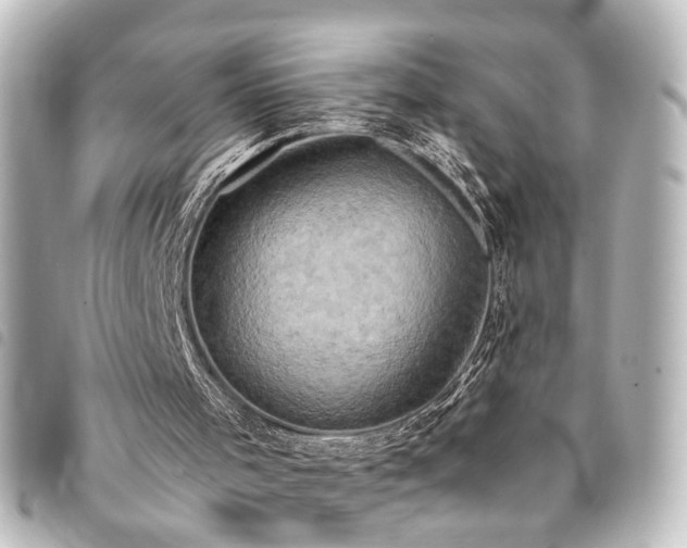 X0000094370001200711021539