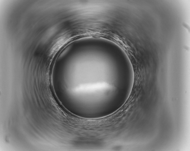 X0000094370002200711021539