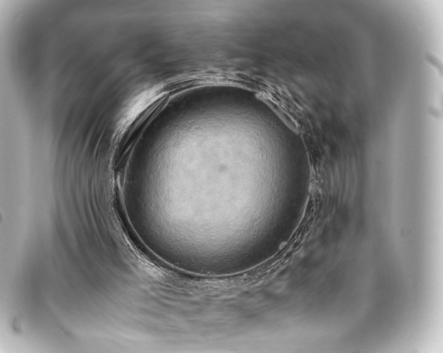 X0000094370005200711021539
