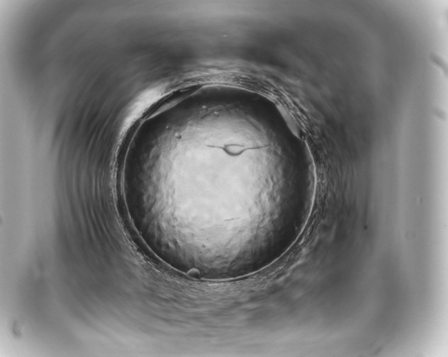 X0000094370006200711021539