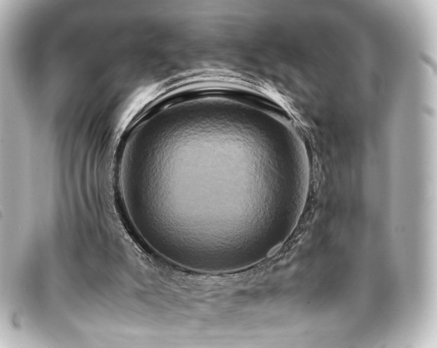 X0000094370007200711021539