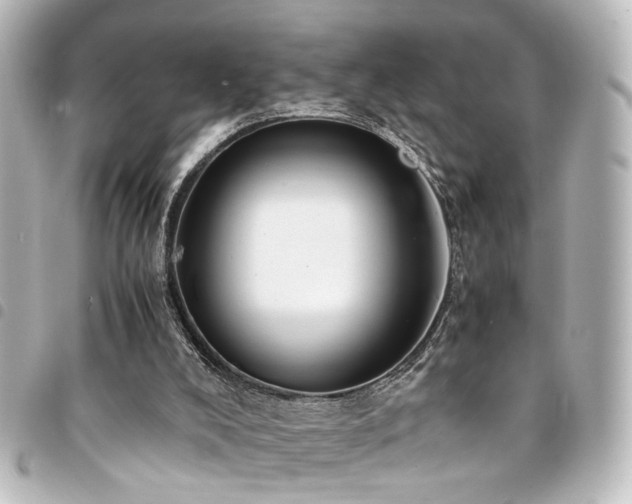 X0000094370008200711021539