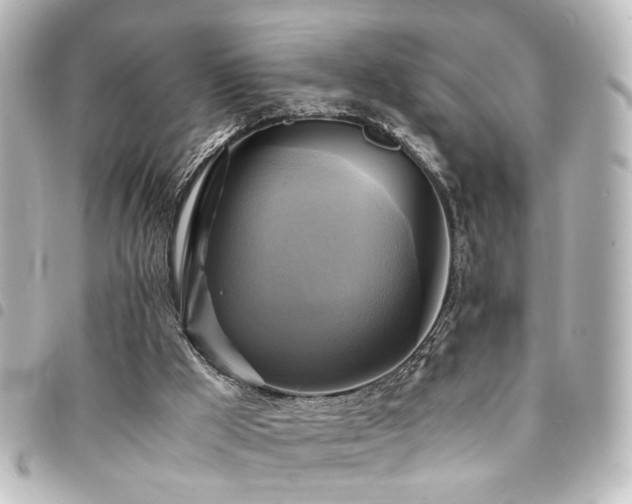 X0000094370009200711021539