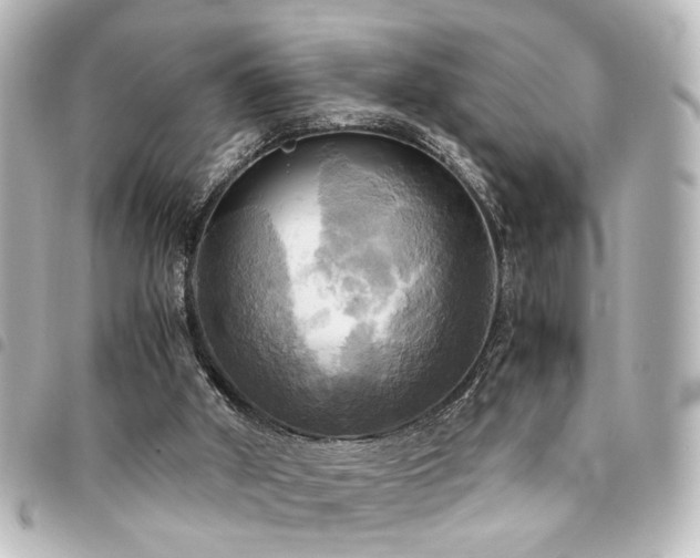 X0000094370010200711021539