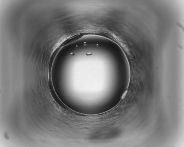 X0000094370011200711021539